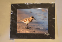 Cameron Evans 9.5x7.5, Framed