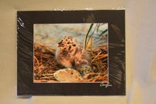Cameron Evans 9.5x7.5, Framed