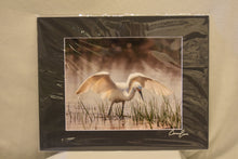 Cameron Evans 9.5x7.5, Framed