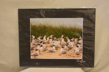 Cameron Evans 9.5x7.5, Framed