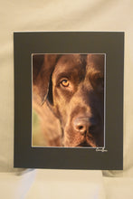 Cameron Evans 10.5x13.5