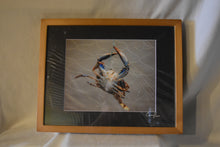 Cameron Evans 9.5x7.5