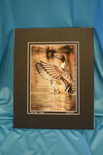 Krumpelmer Photograph 5x7