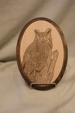 Great Horned Owl