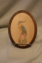 Kingfisher