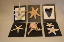 Ocean Keepsakes