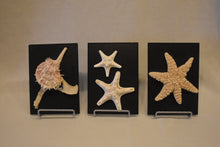 Ocean Keepsakes