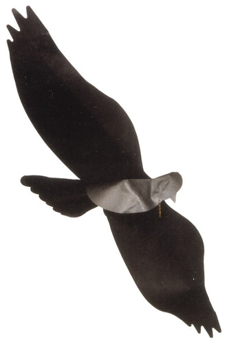 Jackite Black Bird Kite/windsock