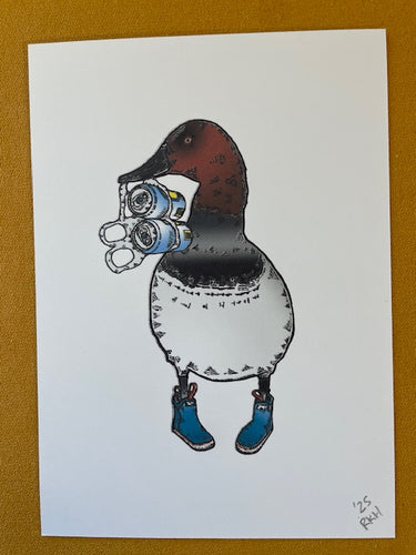 Graphic Post Card, Color, Canvasback