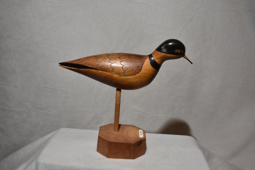 Contemporary Shorebird