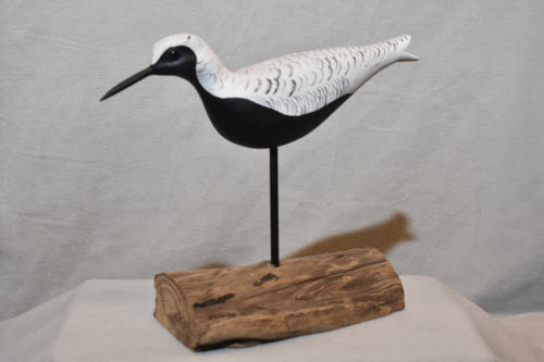 Black Belly Plover