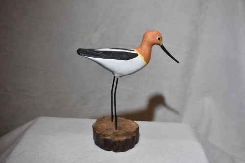 Avocet