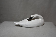 Miniature Swan Decoys