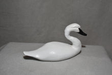 Miniature Swan Decoys