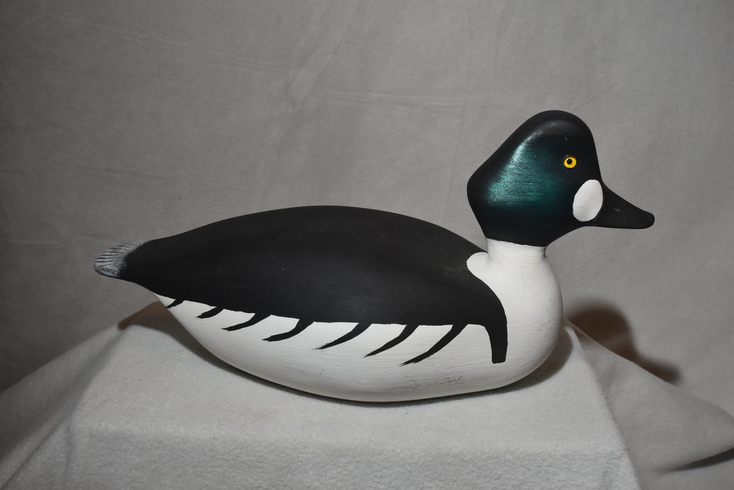 Goldeneyes Duck