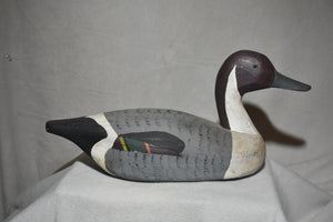 Canvas Covered Pintail