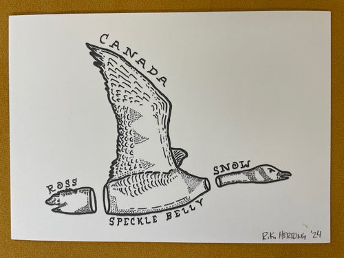 Graphic Post Card, Black and White, Goose
