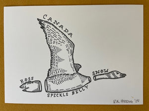 Graphic Post Card, Black and White, Goose