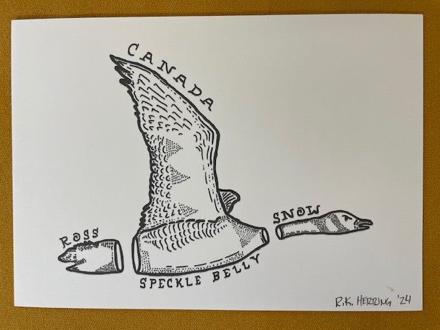 Graphic Post Card, Black and White, Goose