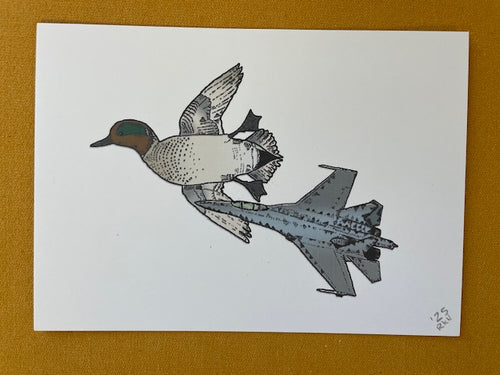 Graphic Post Card, Color, Green Winged Teal