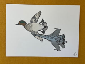 Graphic Post Card, Color, Green Winged Teal