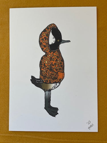 Graphic Post Card, Color, Hooded Merganser