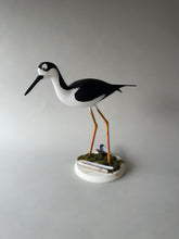 Black Neck Stilt