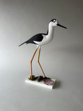 Black Neck Stilt