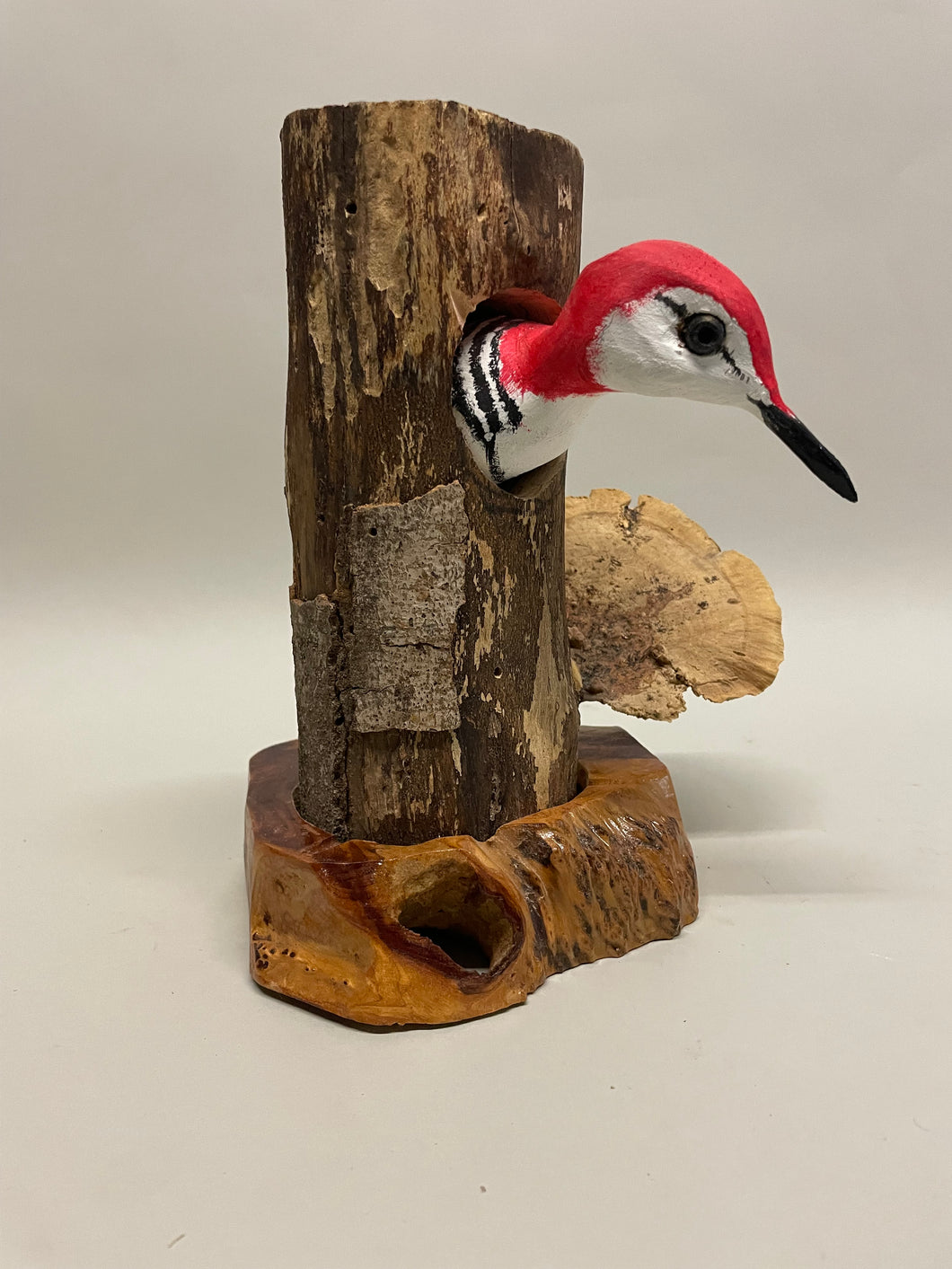 Pileated Woodpecker