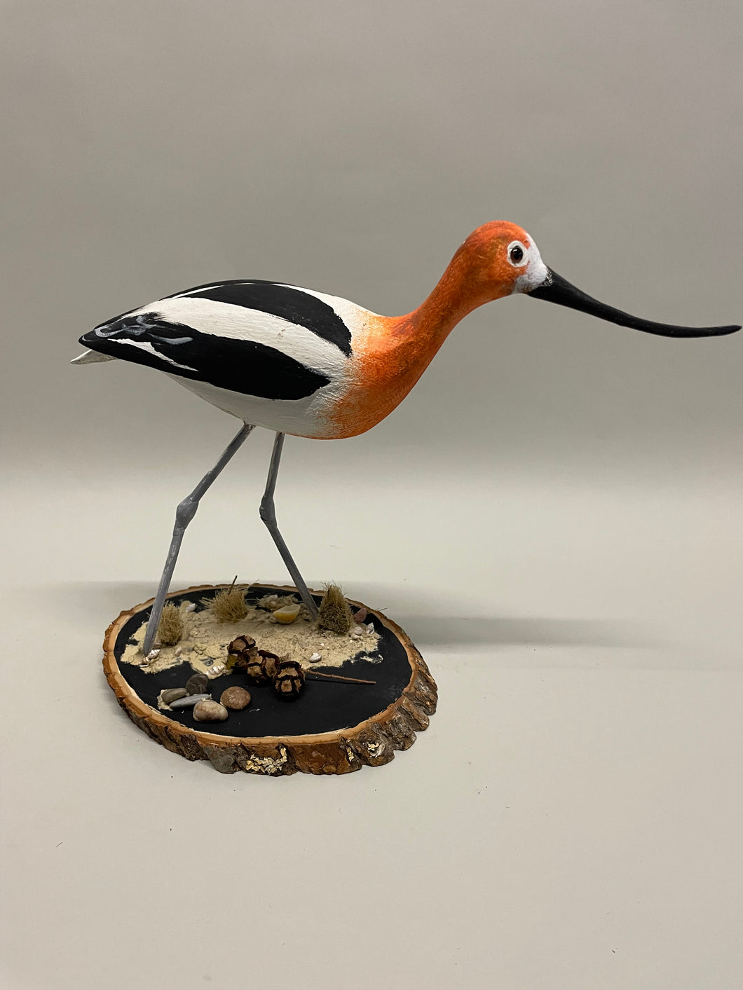 American Avocet