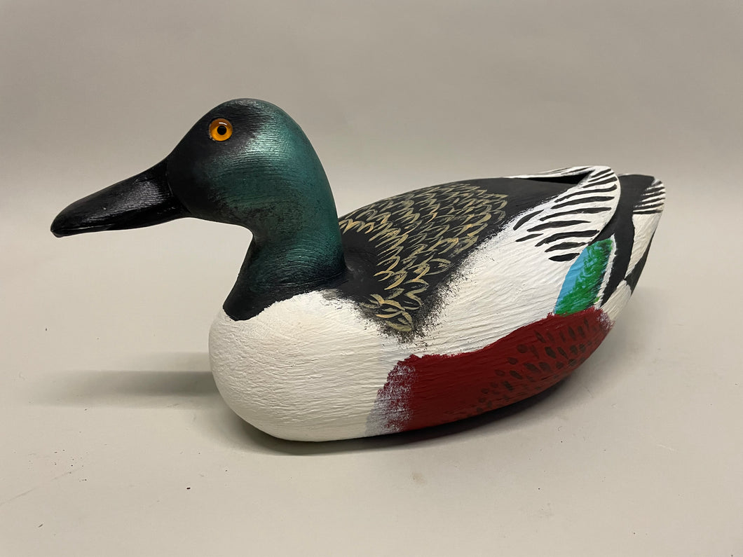 Northern Shoveler Drake Decoy