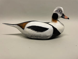 Northern Long Tail Decoy