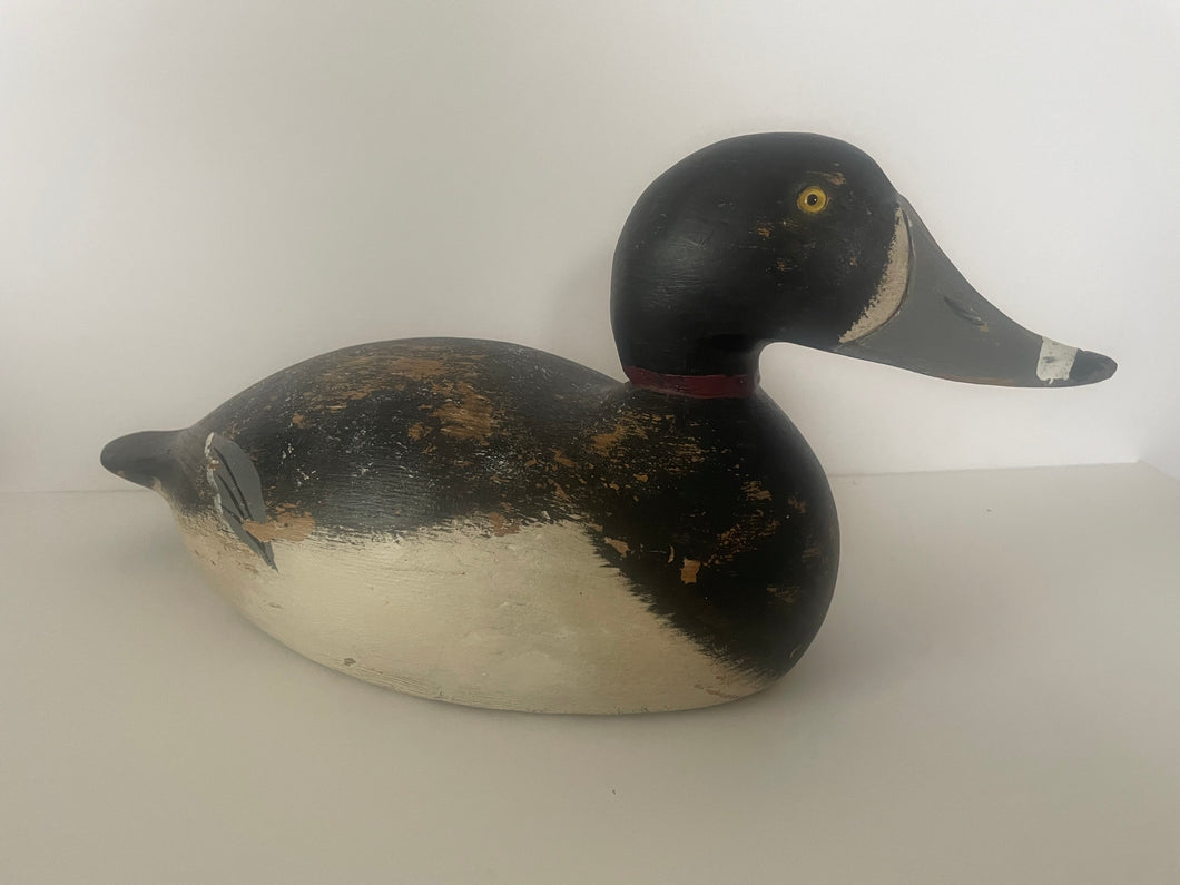 Ringneck Drake, Evans Decoy Company