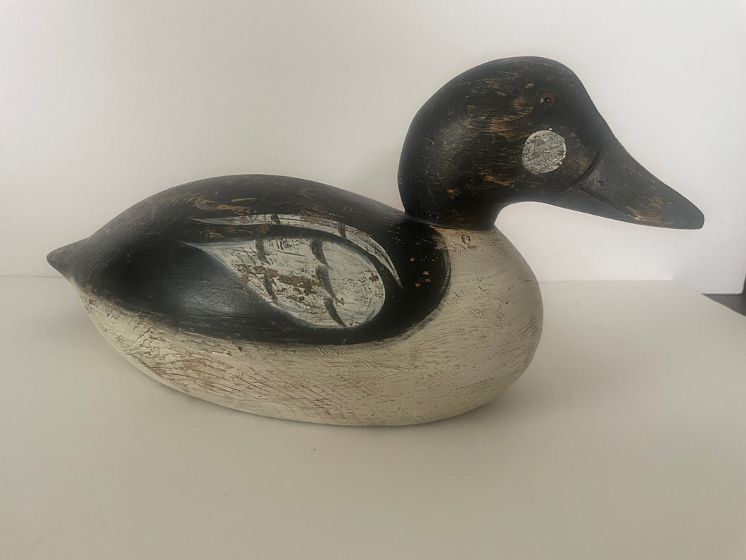 Premier Goldeneye Drake