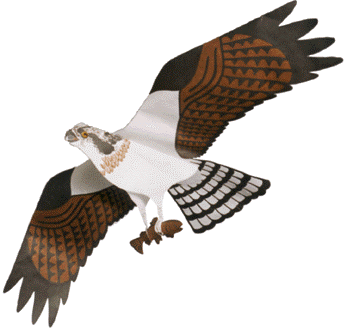 Jackite Osprey Kite/windsock – Atlantic Wildfowl Heritage Museum