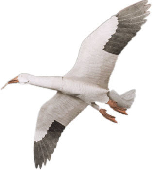 Jackite Snow Goose Kite/windsock